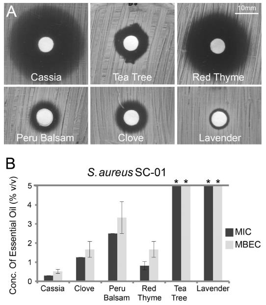 特定精油可有效根除铜绿假单胞菌和金黄色葡萄球菌生物膜（三）