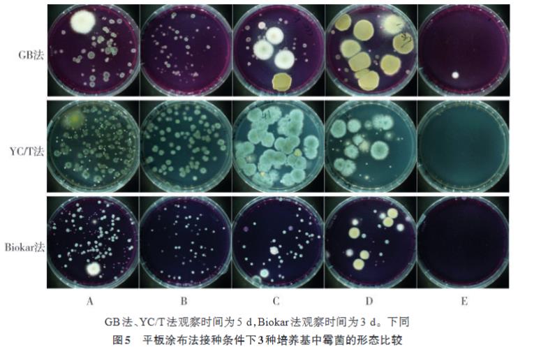 雪茄烟中霉菌培养基种类筛选、计数方法适用性研究（二）