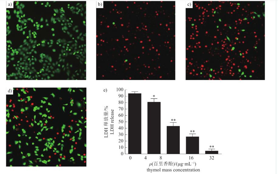 百里香酚MIC和生长曲线测定及对金葡菌Hla的作用机制（三）