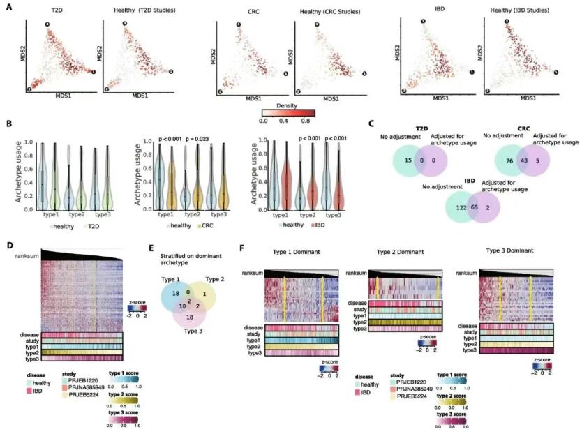 肠道微生物组功能原型的深度解析：从代谢策略到疾病关联的突破性框架
