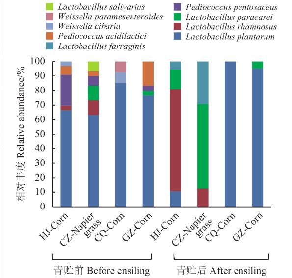 青贮饲料中耐高温乳酸菌的生物学特性及发酵特性研究（二）