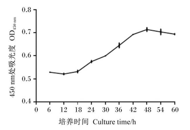 驴乳腺上皮细胞分离、培养及生长曲线绘制（二）