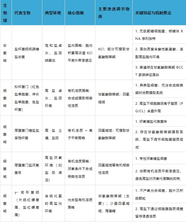 微生物界高盐环境适应机制、策略（案例四）