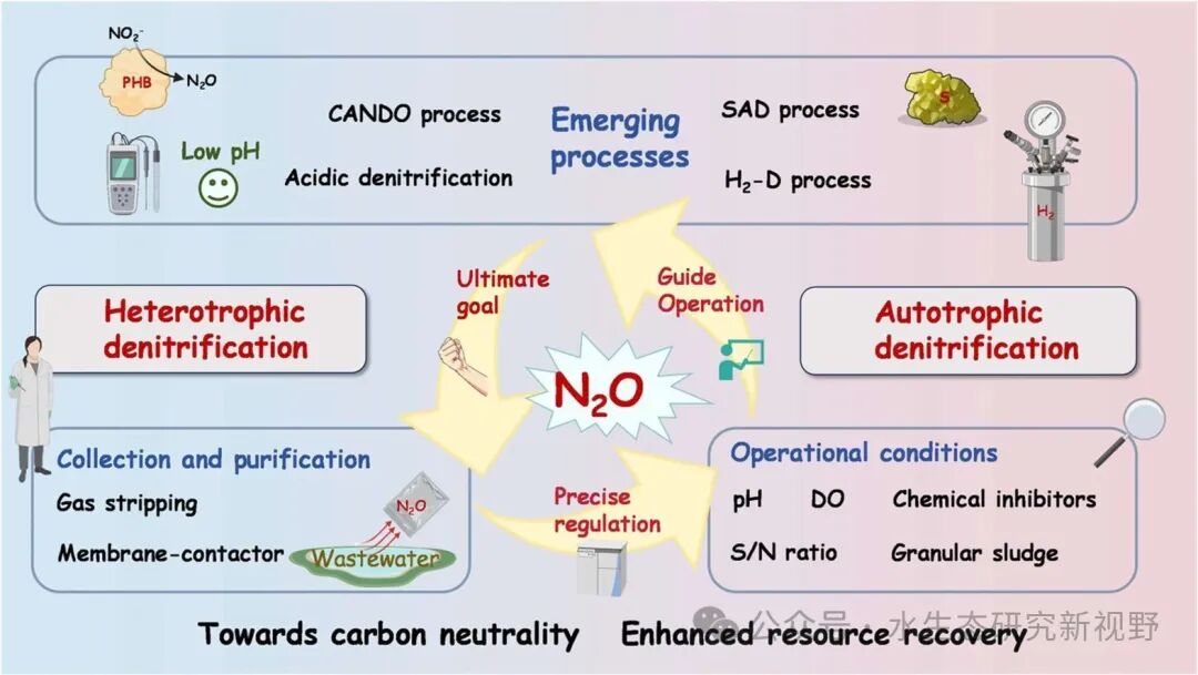 如何精准调控微生物反硝化的代谢路径？让一氧化二氮转化为高价值资源？