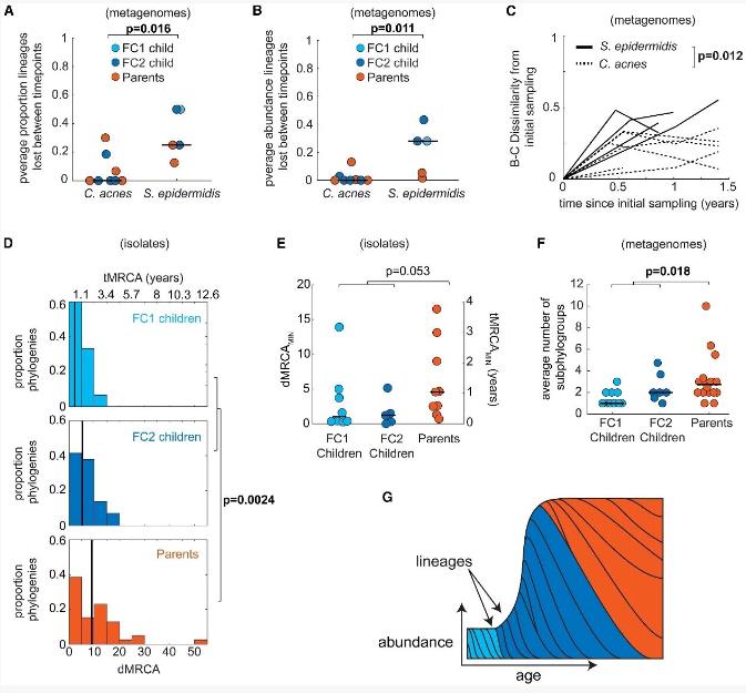 从儿童到成人：面部皮肤菌群成熟过程中的菌株建立与稳定规律（三）