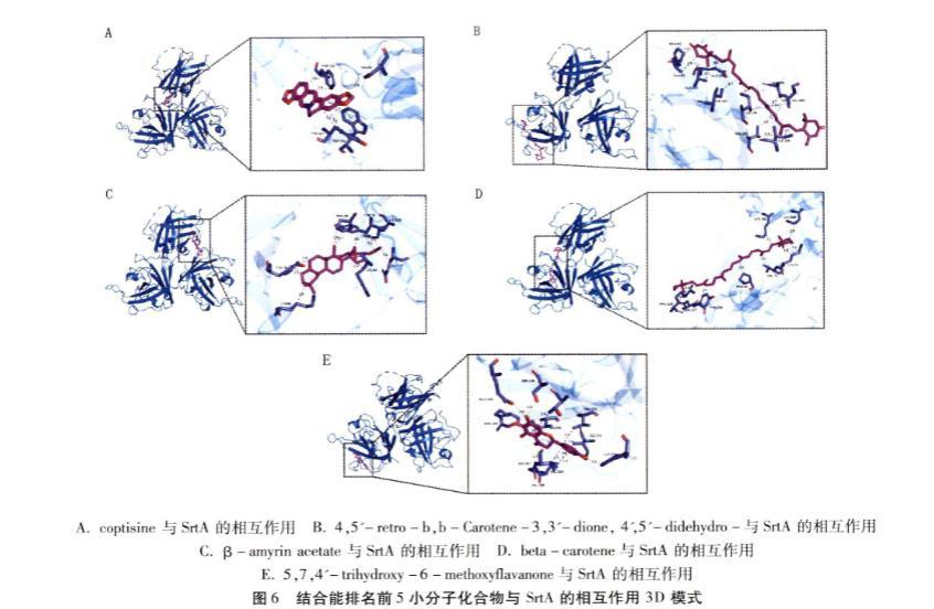 双黄连及各药耐甲氧西林金黄色葡萄球菌生长曲线、毒力因子的影响（四）