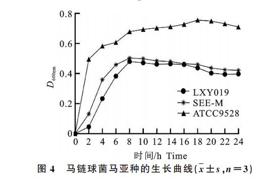 驴源马链球菌马亚种LXY019株的分离鉴定、生长曲线、致病性及耐药性分析（二）