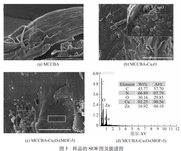 MOF-5三元复合抗菌材料对革兰氏阴性大肠杆菌生长抑制作用机理研究（一）