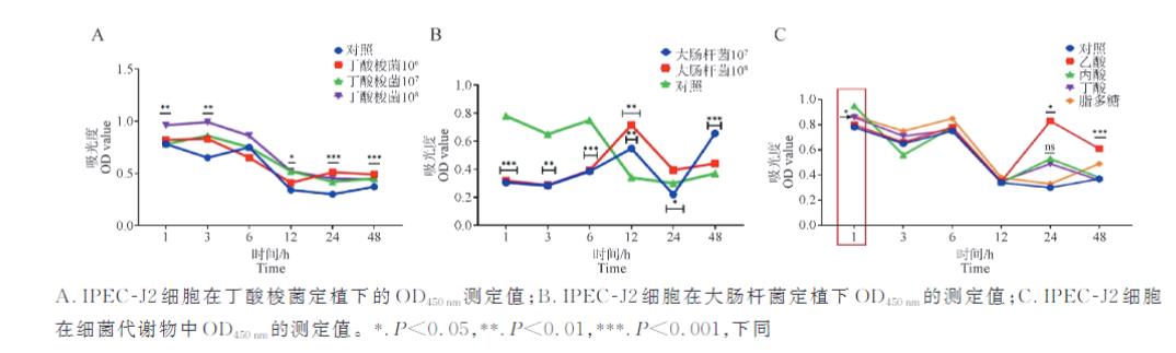 基于生长曲线的大肠杆菌与丁酸梭菌对IPEC-J2细胞线粒体功能影响研究（三）